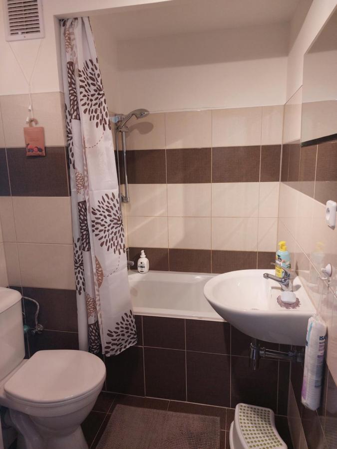 Apartman V Podhuri Krusnych Hor Sokolov Exteriör bild